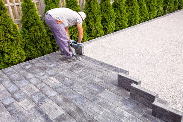 Best Driveway Paving Contractor  in Cottage Grove, WI