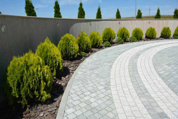 Best Decorative Driveway Pavers  in Cottage Grove, WI